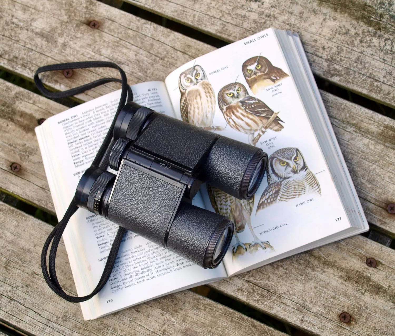 photo of binoculars and a book about birds